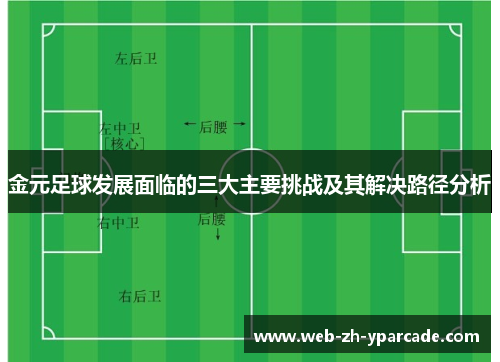金元足球发展面临的三大主要挑战及其解决路径分析 金元足球发展面临的三大主要挑战及其解决路径分析