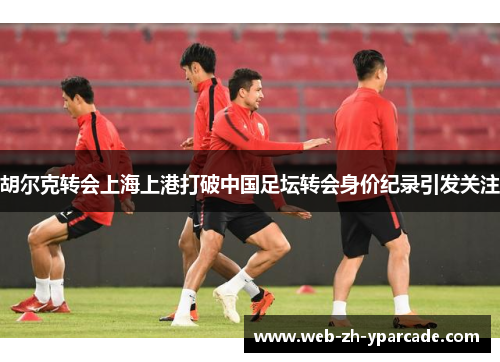 胡尔克转会上海上港打破中国足坛转会身价纪录引发关注