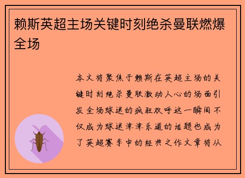 赖斯英超主场关键时刻绝杀曼联燃爆全场